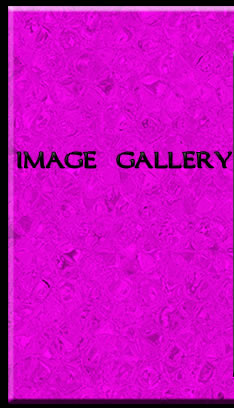 gallery titlebar